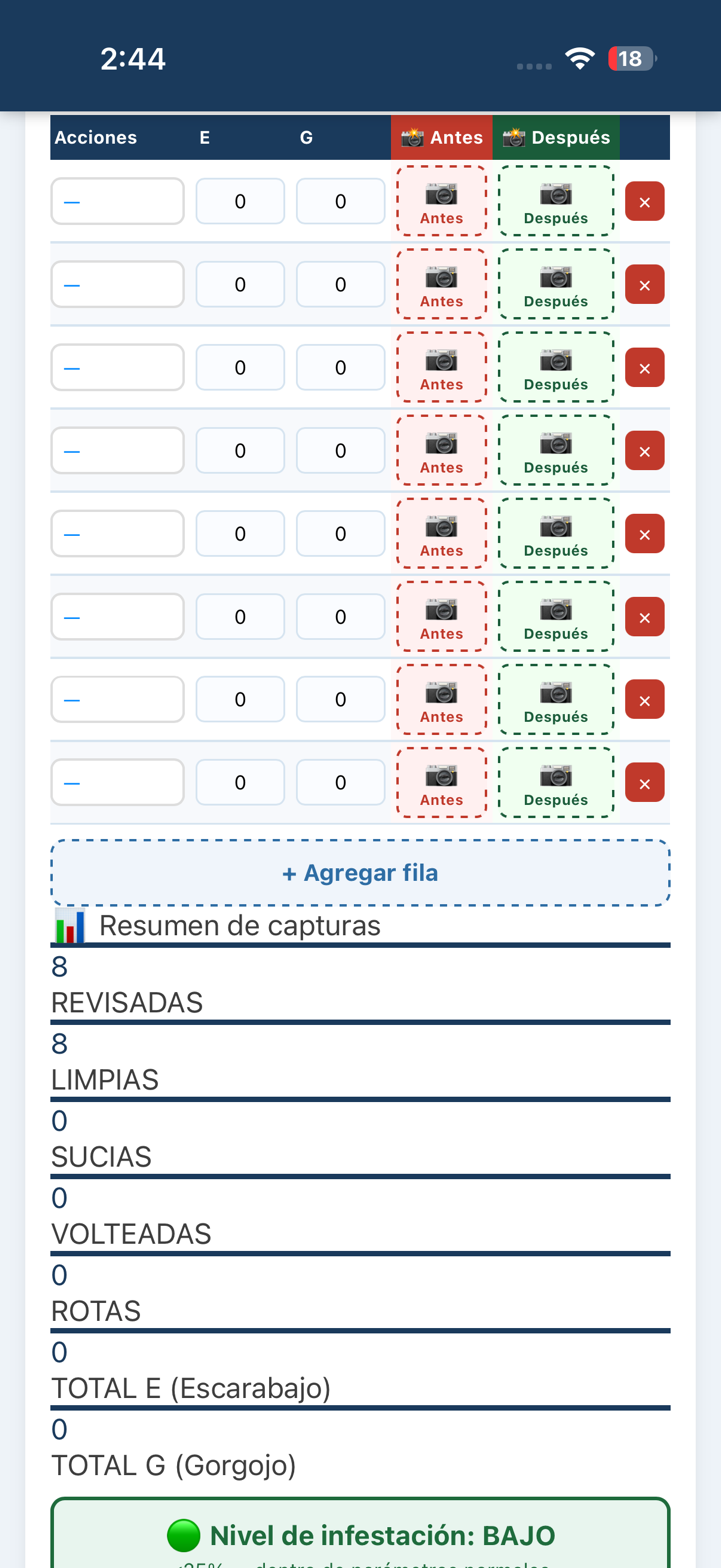 Antes y Después